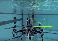 ���������� ��������� �����������: ������ � ������ � ���������� ���������