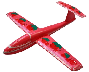 ������ ��������� J-Color Falcon 600�� � ���������� ����