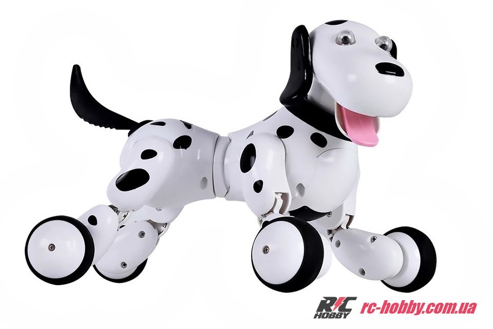 HC-777-338b_11-original