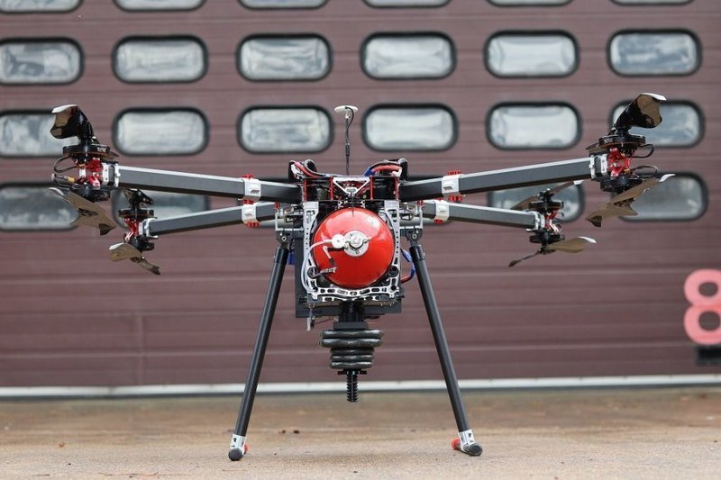 ������������, ������� ������ ������ ����: ���������� ����� ������