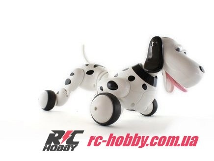 HC-777-338b_03-original