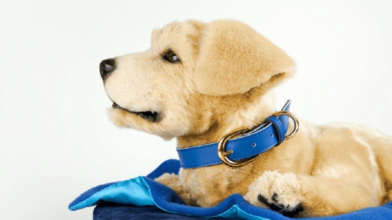 ���� ����� ������ ����������, � ������ �����-�����, ��������� �� ���������