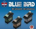 � �������� Blue Bird Technology: ����� ��� ��������� RC-������� � �� ������