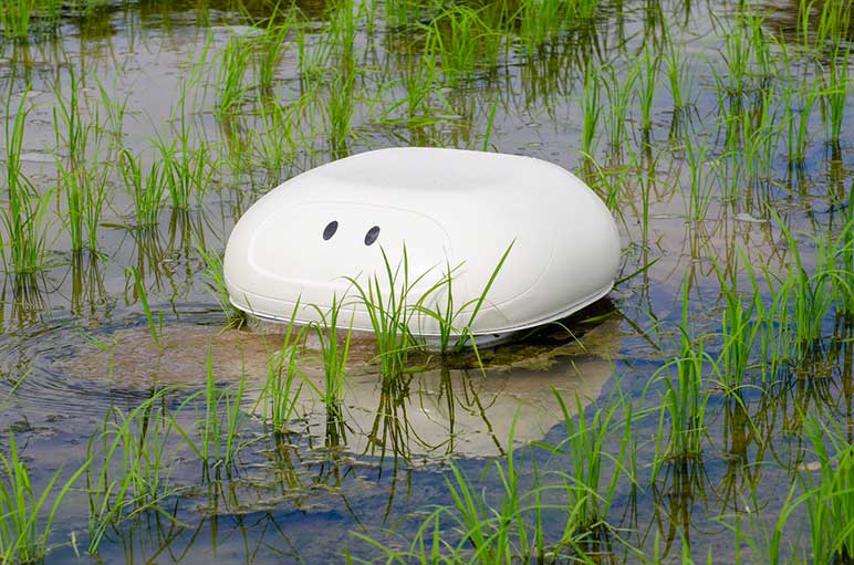 Aigamo: �������� ���������������� ����-����� ������� � ��������� �� ������� �����