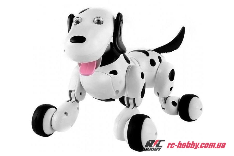 HC-777-338b_08-original