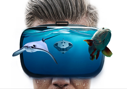 ����, �����! ��������� ����� �� ��������������� ����������� ������������� � ������������ ���������