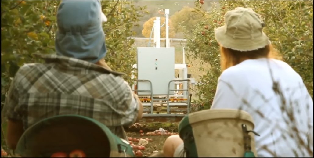 ����� ��� ������� � ��������������: ��� �������� � ��� ���������