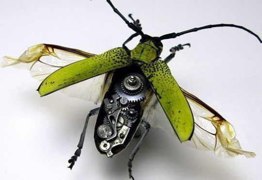 ����-������� � ����� ��������� ����������� ����� ������