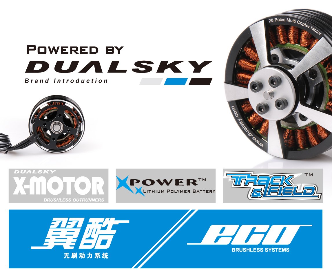 ������� �������������� Dualsky: 15 ��� ����������� �������� � ������������������ ����������� ��� RC