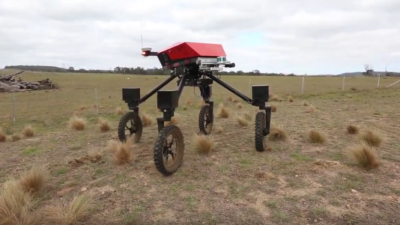 �������� ���: �� ������������� ����� ��������� ��������� ������ SwagBot