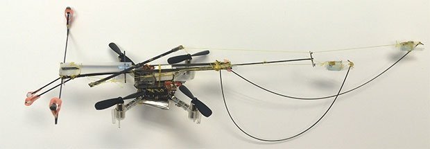 ����-�������� ����� �������������� ���� �� �������