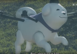 ���������������� ��������: ��� ������ ���� �������� � ��������� ���������� 