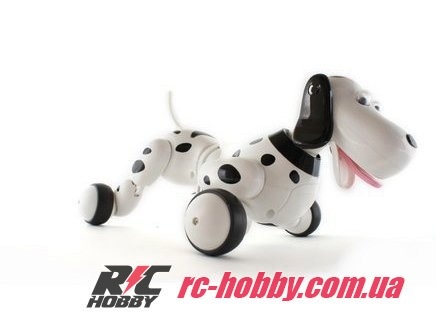 HC-777-338b_03-large