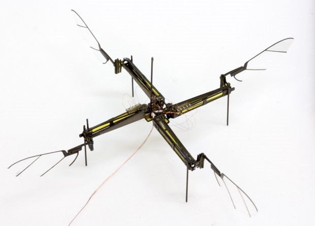 �����-����� � �������� ����������: ���������� ������ ����� ����� 150 ������������