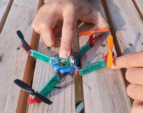 ������ ������������, ������� � ������ � ������������: ����� ����������� ����������� ���������