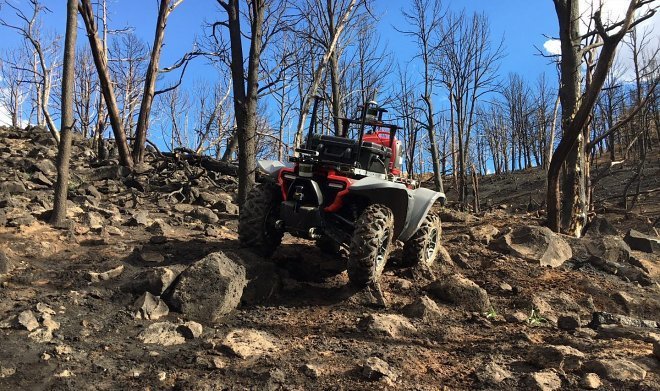 �������� Honda �������� ��� ������������-�������������: ����������� ������� ��������