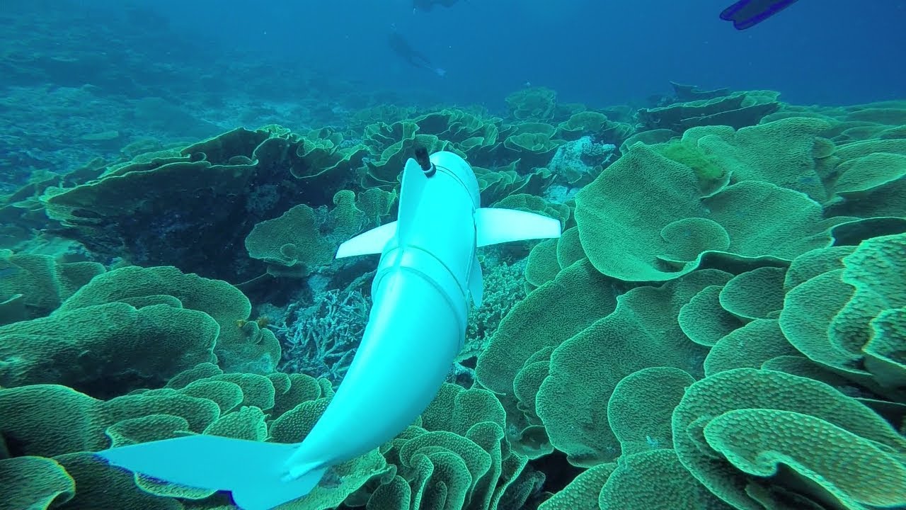 ���������� ���� ��� �����������: ����������������� ����� SoFi ��������� � �������� ���