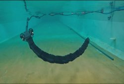 ������ �� ������ � ����������