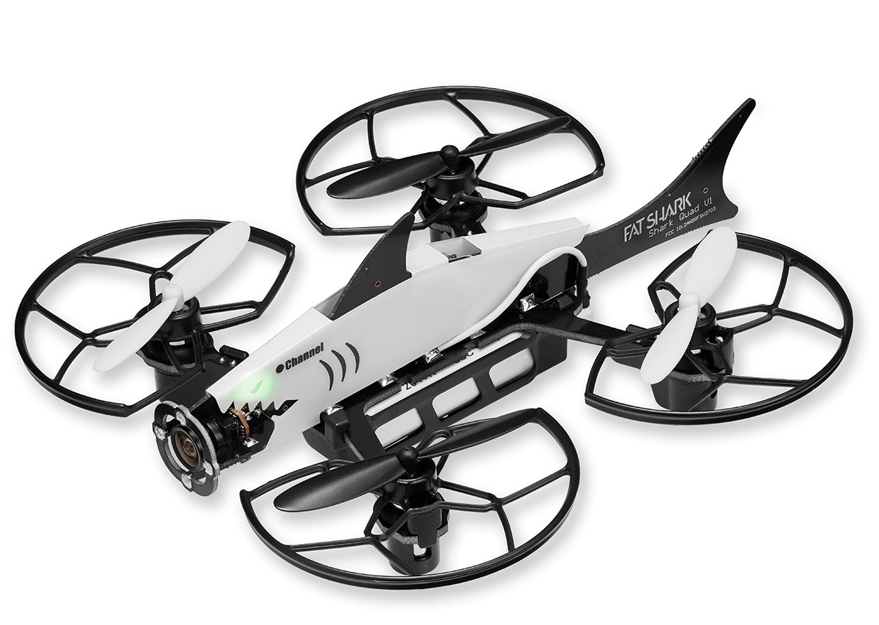 �������� Fat Shark 101 � ����������� ����������� �� ���� ���������� �����