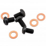 ����� ��������� TLR 4 �� (TLR5066)