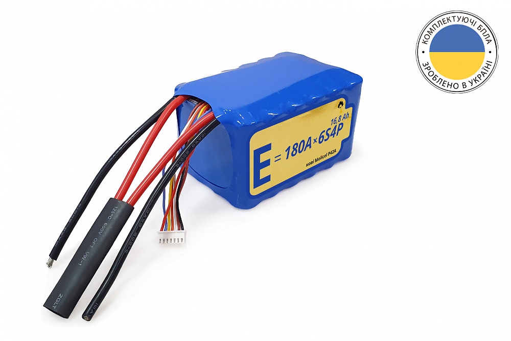 ENL-6S4P-21700-P42A-001_02-original