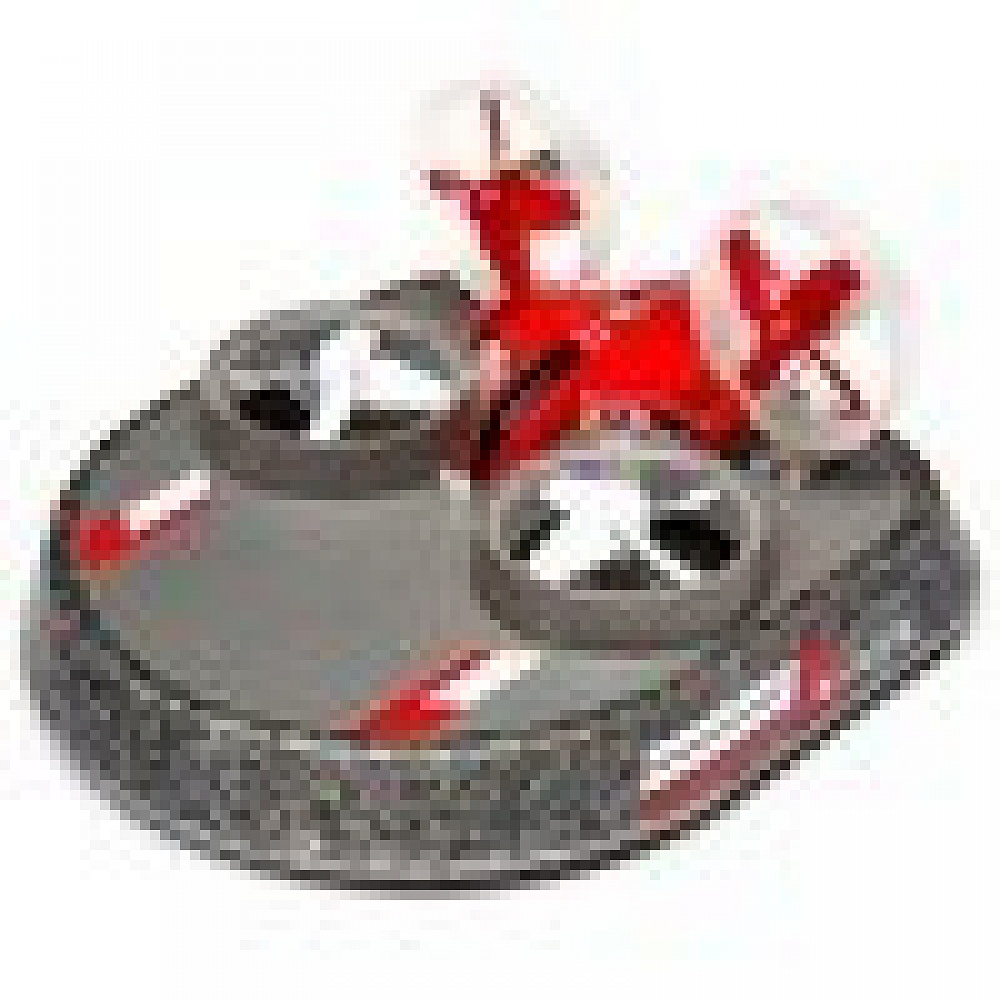 ������������ �� ��������� ������� Blade Inductrix Switch RTF ����������� (BLH9800)