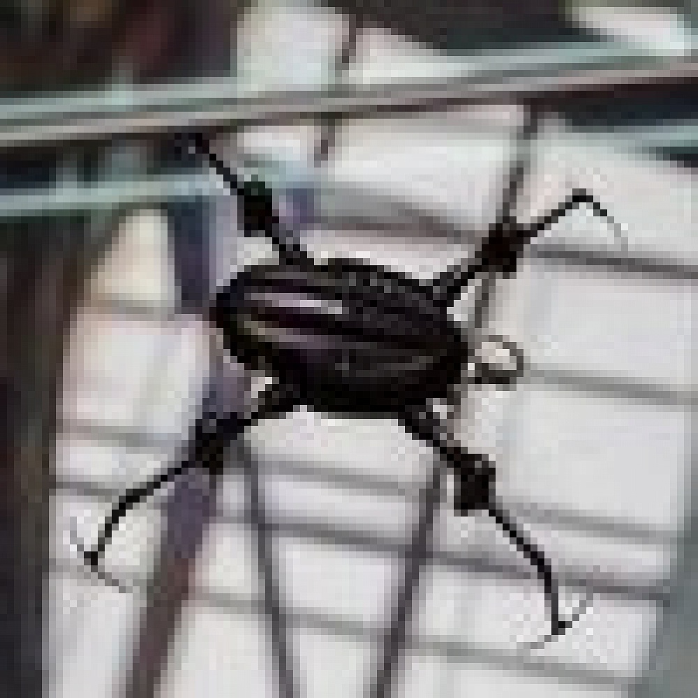 ������������ Blade Nano QX2 FPV BNF ��� ������ (BLH9180)