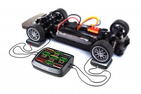 ���� SkyRC ��� ������������ ����������� (SK-500015)